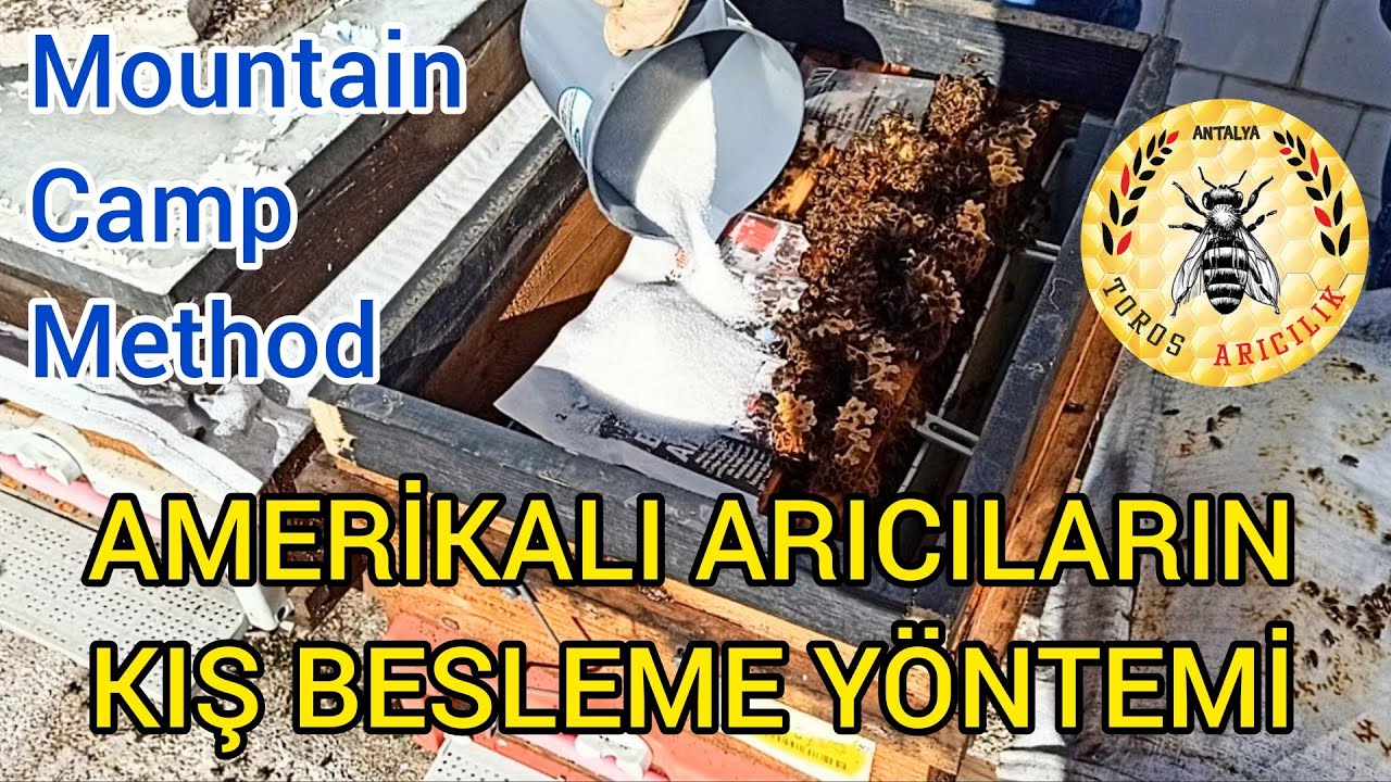 Kış beslemesinde farklı bir yöntem #mountain camp method Sizin için inceledim #arıcılık #beekeeping