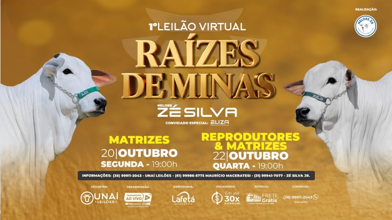 1&ordm; LEIL&Atilde;O VIRTUAL RA&Iacute;ZES DE MINAS - NELORE Z&Eacute; SILVA - MATRIZES - UNA&Iacute; LEIL&Otilde;ES  - 20-10-2025