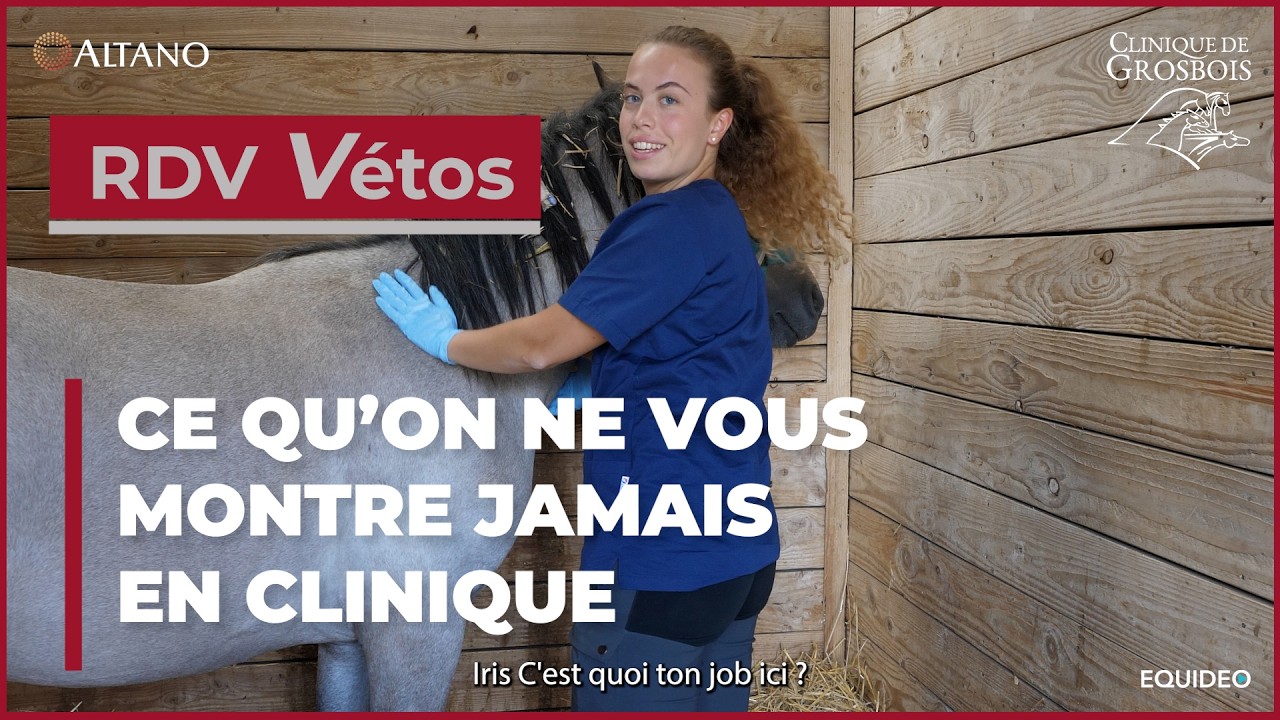 Rdv Vétos - Stagiaire à Grosbois