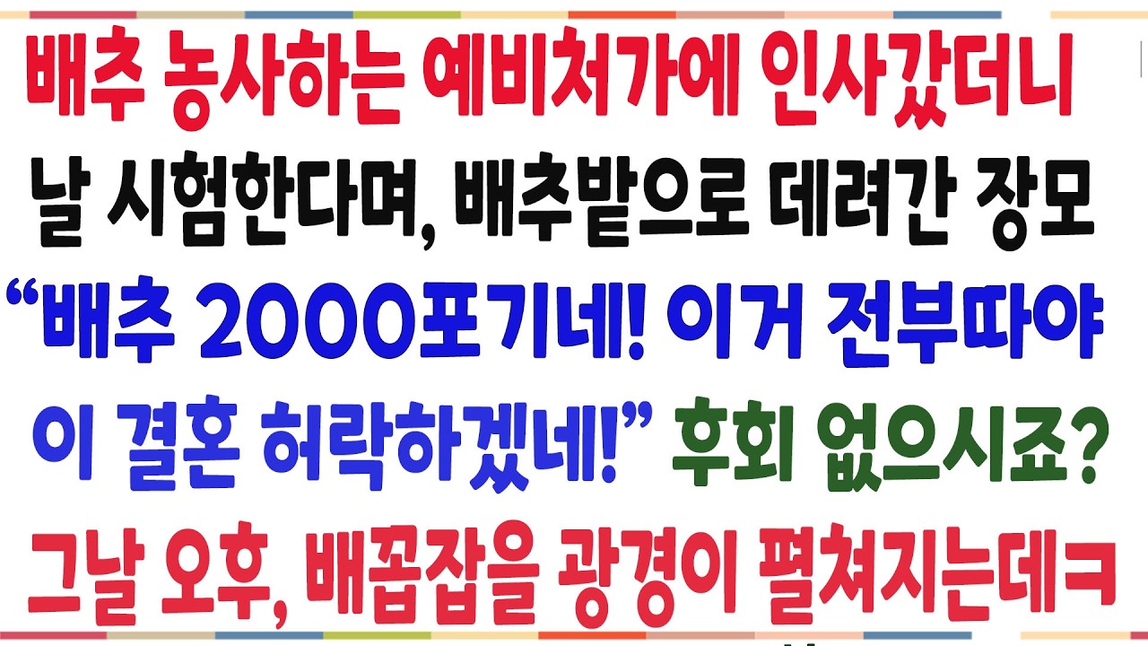 (반전신청사연)배추 농사하는 예비처가에 인사갔더니, 날 시험한다며 배추 2000포기를 따라는 장모! 그날오후 배꼽잡을 광경이 펼쳐졌습니다ㅋ[신청사연][사이다썰][사연라디오]
