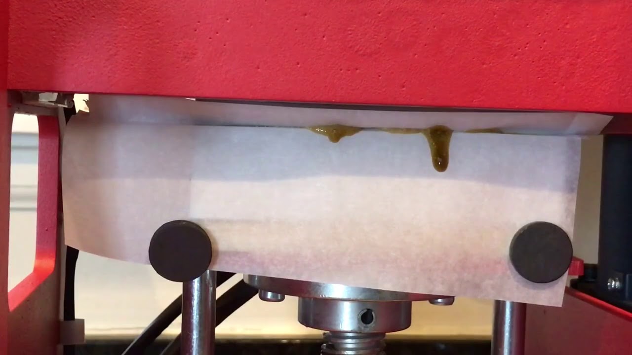 Bottle Tech flower rosin on Redytek 3 ton electric rosin press