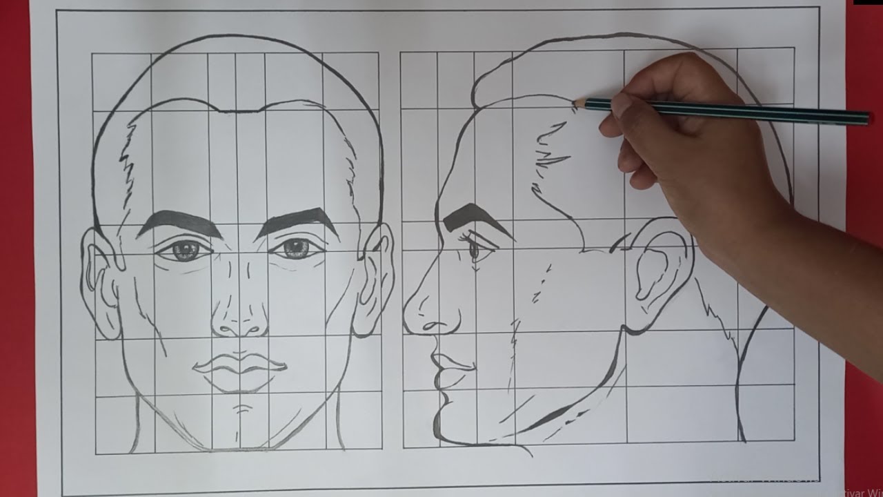 PROPORCI&Oacute;N DE LA CABEZA HUMANA MASCULINO (Vista Frontal y Perfil)