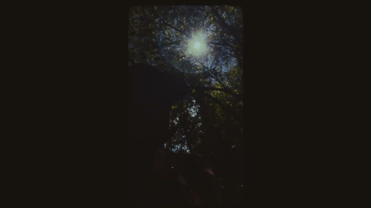 Tom Joseph - if I were a poet (official)