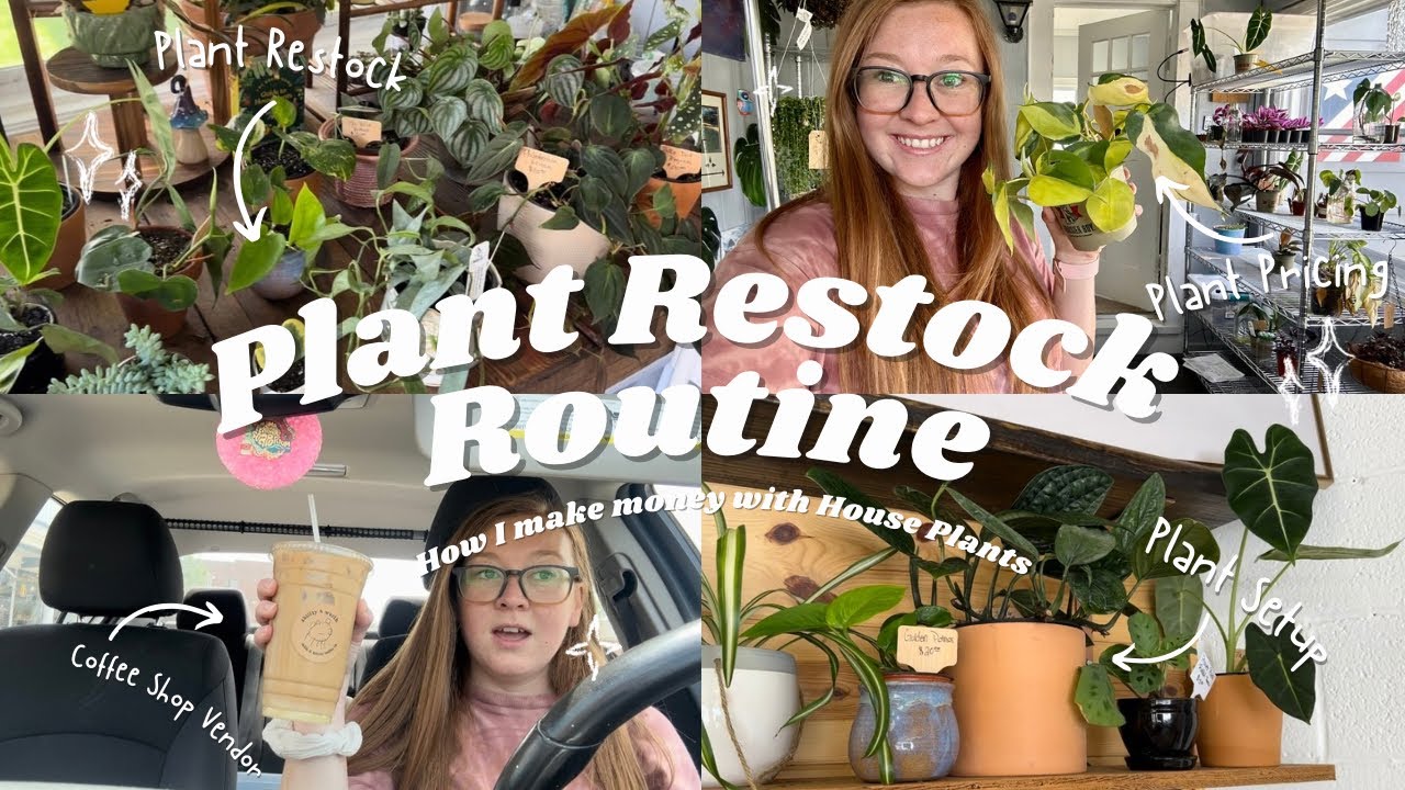 Plant Restock Routine | How I Make Money with House Plants | Where to Sell Plants