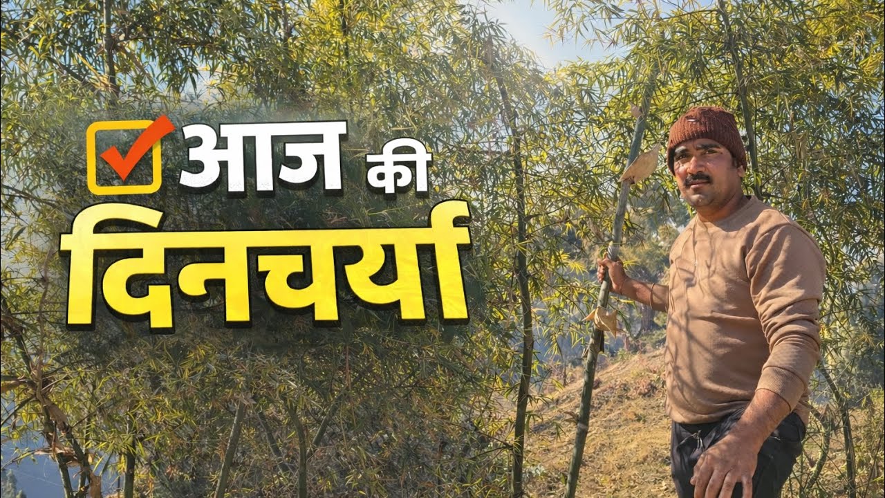 “मेरी आज की दिनचर्या – एक साधारण दिन की पूरी कहानी”