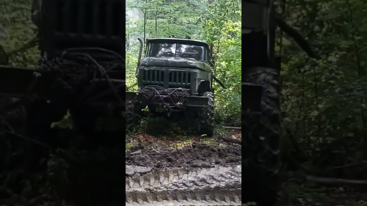 Ził 131 Turbo Zrywka drewna Bieszczady