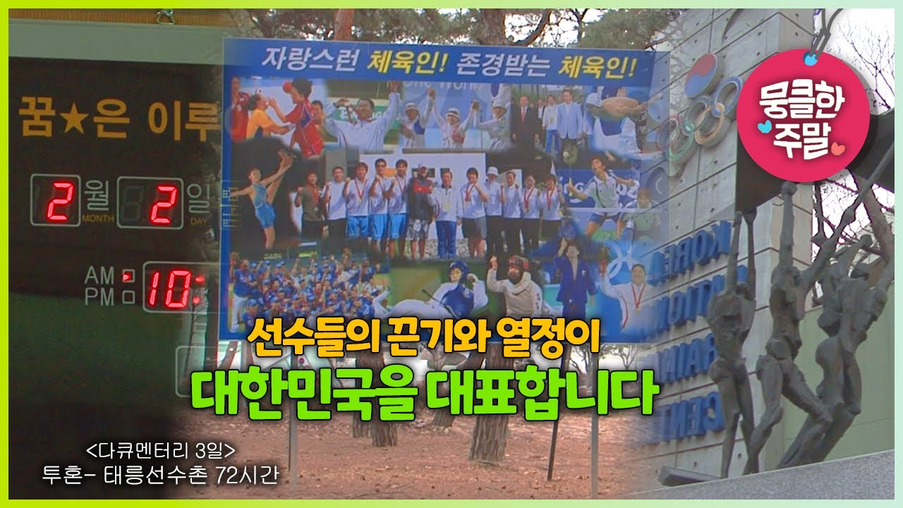 [뭉클한 주말🥰 #173] 선수들의 끈기와 열정이 대한민국을 대표합니다 | 투혼- 태릉선수촌 72시간 [다큐3일 090214 KBS 방송]