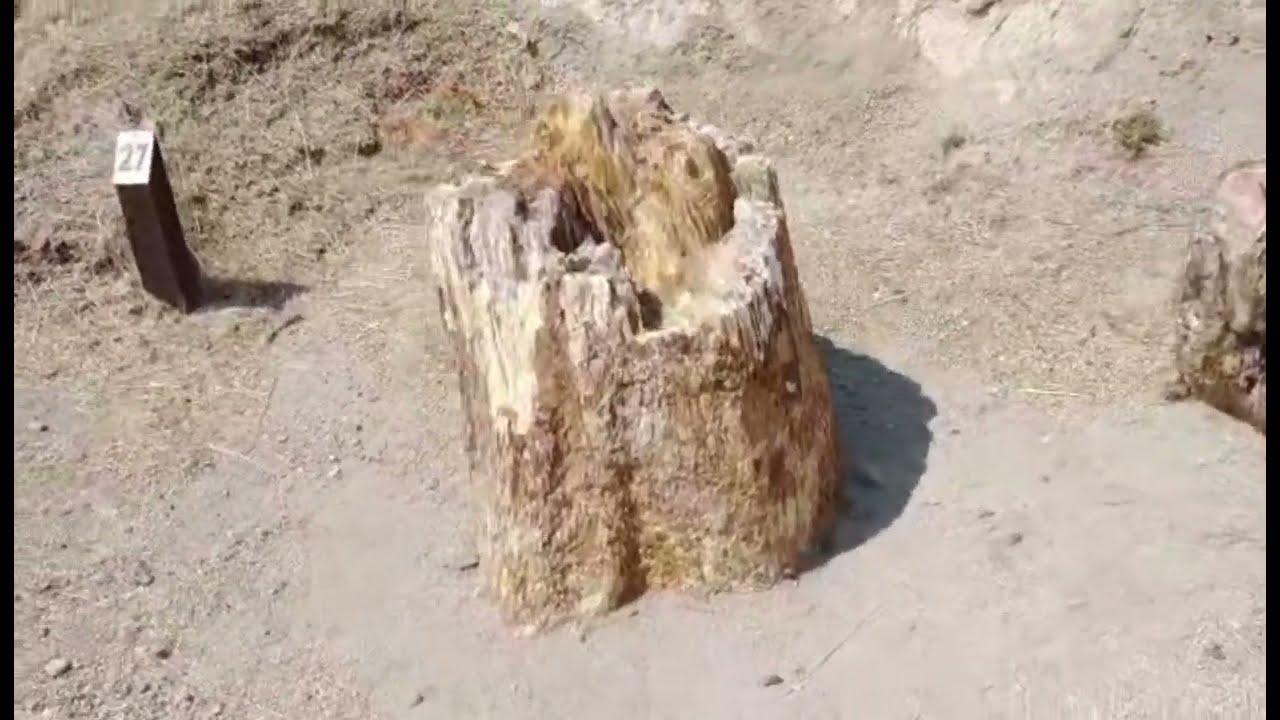 The petrified forest of Sigris Mytilene Greece- Απολιθωμένο δάσος Σίγρης Μυτηλήνης anna traveler