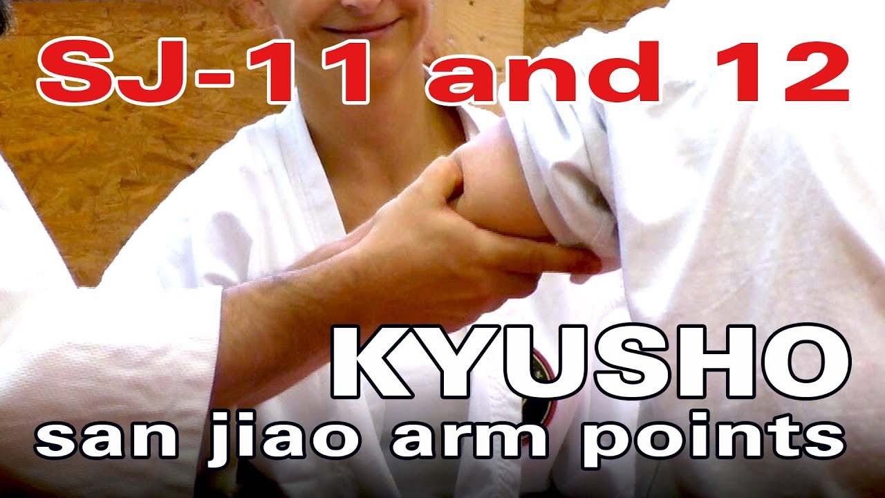KYUSHO/DIM MAK Ellbogen- und Schulterkontrolle mit San Jiao 11/12  - Seminar 