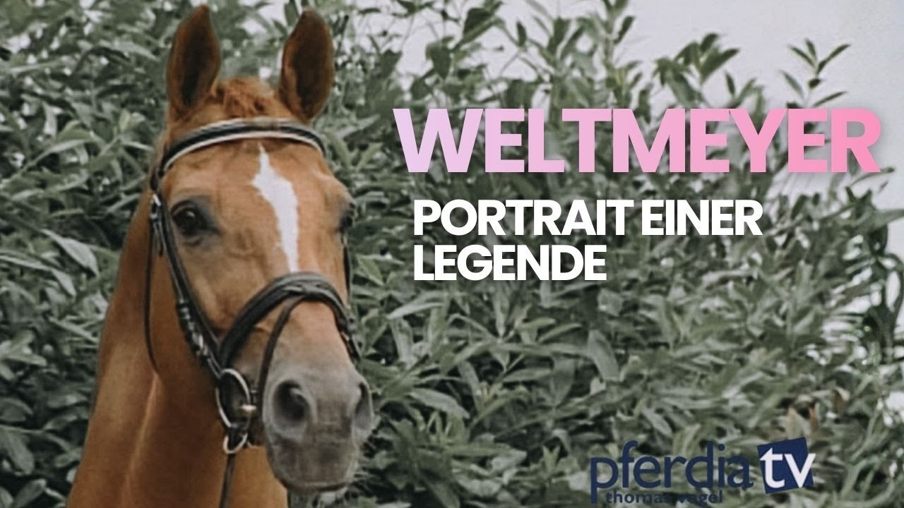 Weltmeyer – Die Geschichte der Dressur-Legende | Hannoveraner Stempelhengst