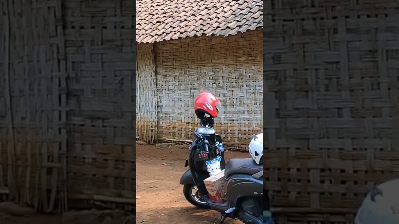 Viral !! Kampung Terpencil Di Pedalaman Hutan Jombang, Ternyata Banyak Wanita Cantik 🥰