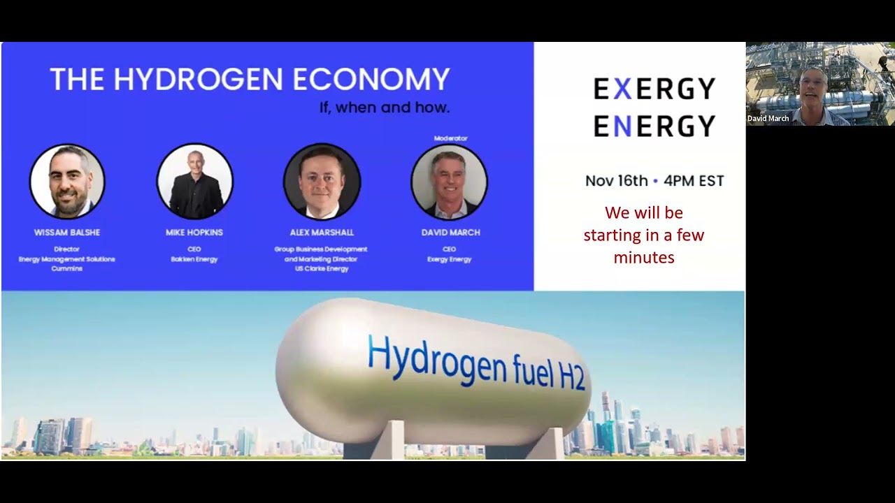 The Hydrogen Economy. If, when and how. - Full Webinar