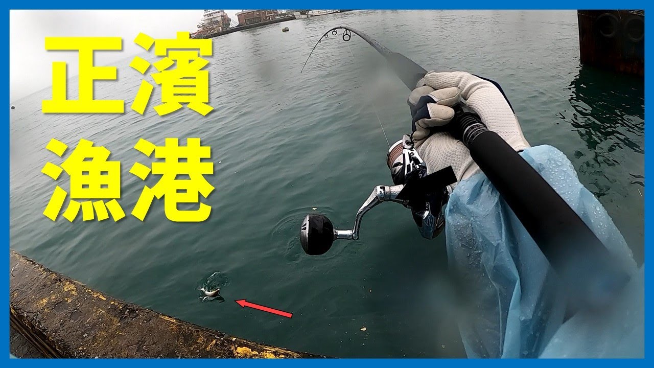 [Shore Jigging] 下大雨還能釣魚嗎? 壞天氣果然是大咬! I 지롱 정빈항구 내항 쇼어지깅 #岸拋 #正濱漁港 #呱呱