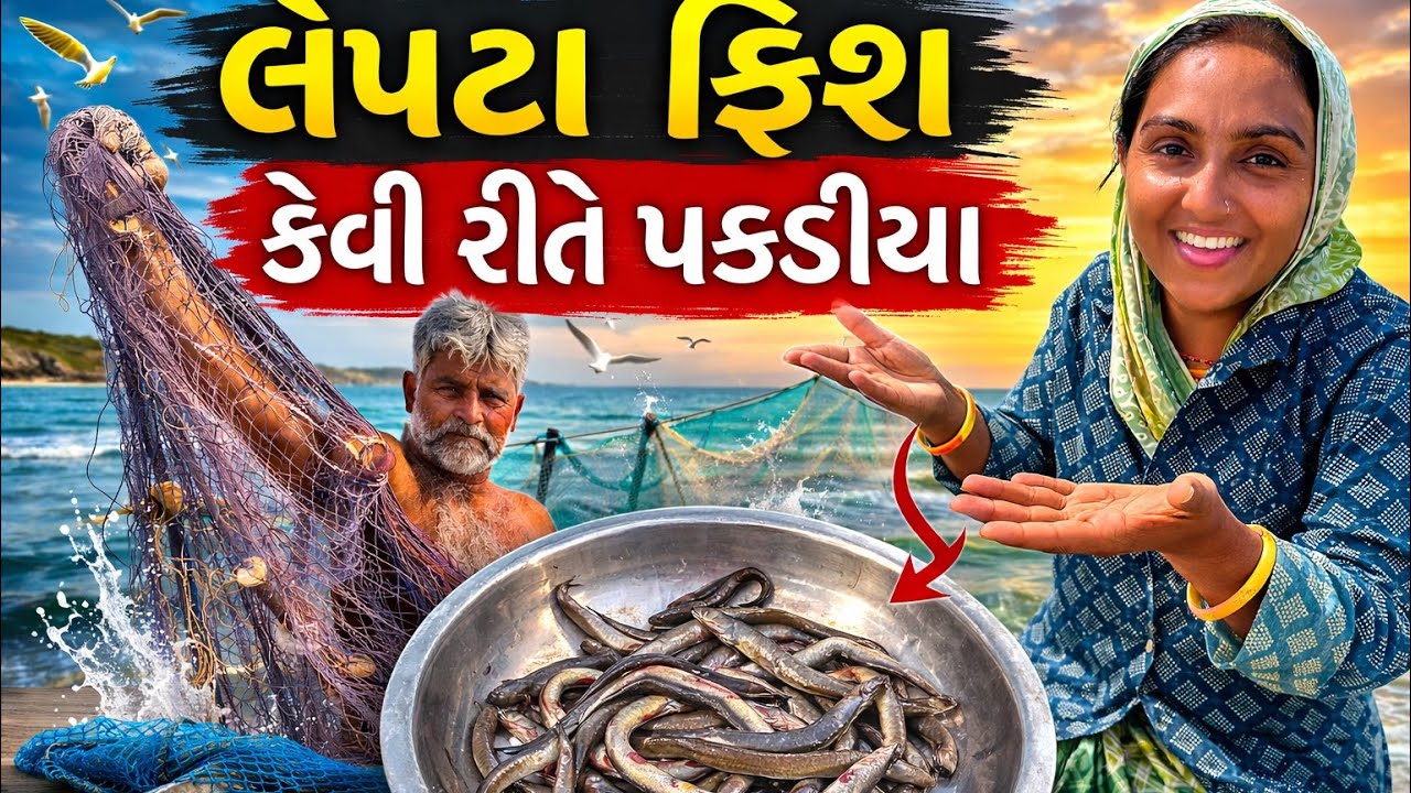 તરણી લઈ ને ઘોલ જીલા મા લેપટા પકડવા ગયા 🦈 bigg size crabs 🦀 dariyai khedut