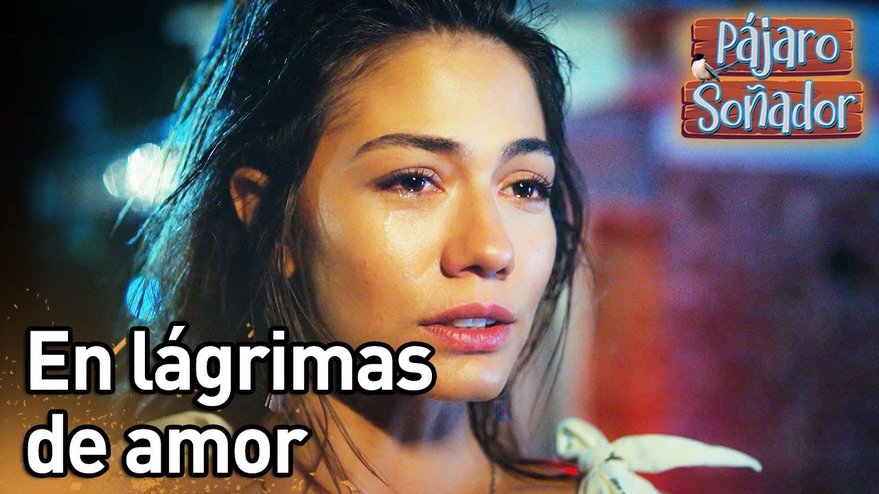 En lágrimas de amor😥 | Pájaro soñador | (Audio Español) Erkenci Kus