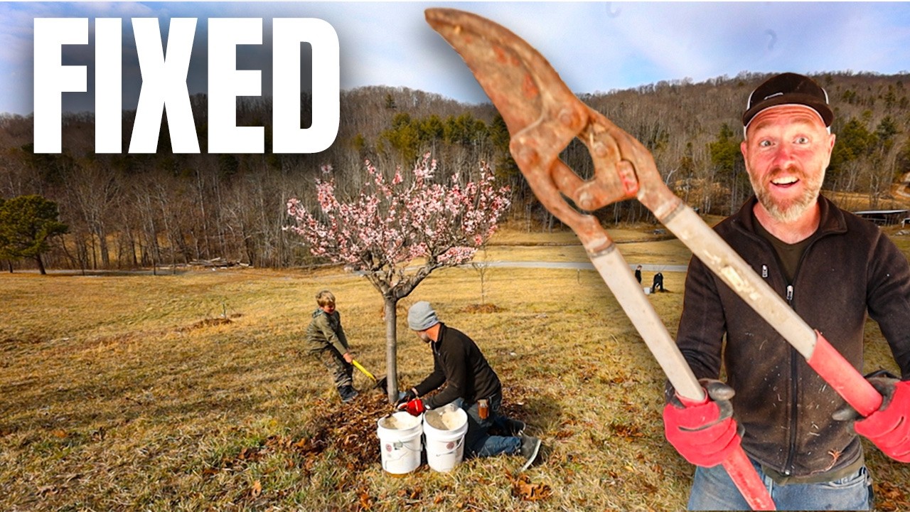 We Tried to Fix Every Fruit Tree on Our Farm in 24 Hours