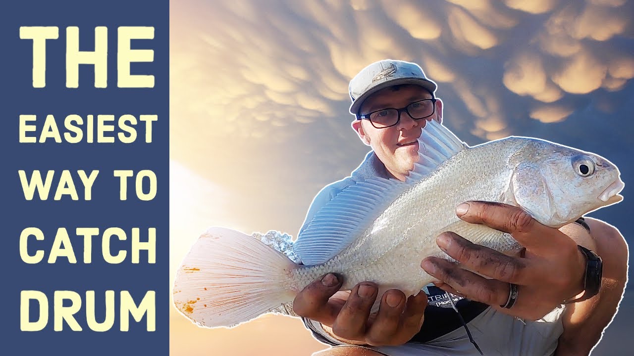 Catching my first freshwater drum (Coosa River)