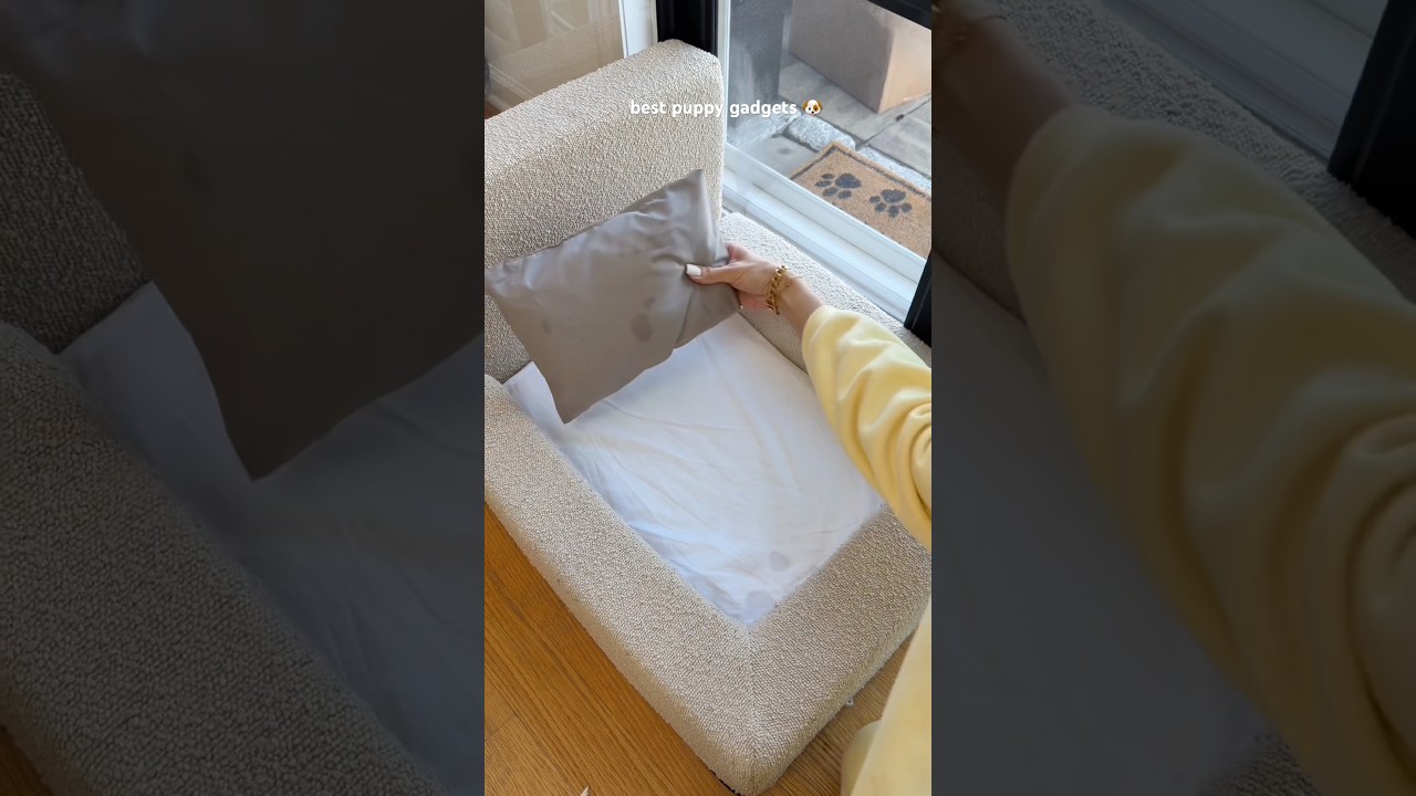 Best puppy gadgets!
