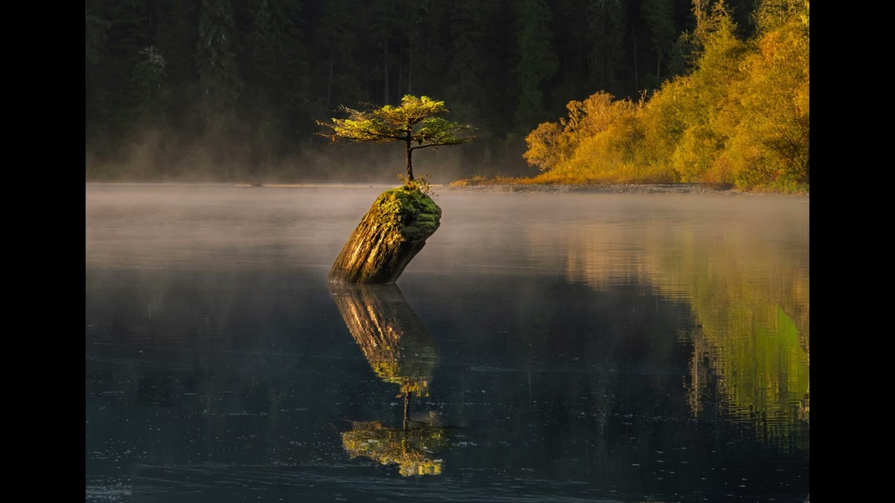 Victoria   Port Renfrew 2026