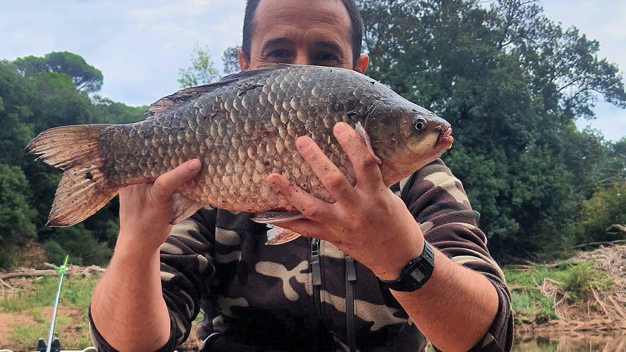 O partida excelenta pe balta salbatica cu capturi pe cinste + gatit pe malul apei!
