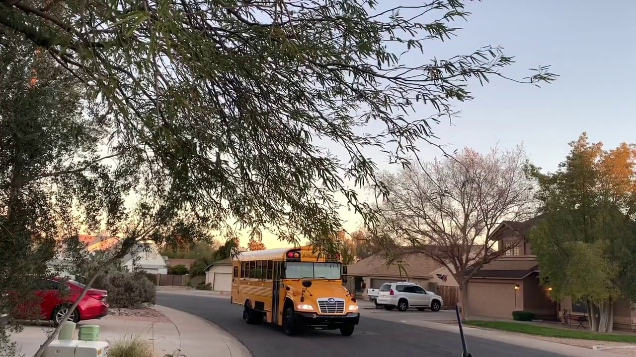 Another day, another Friday bus.