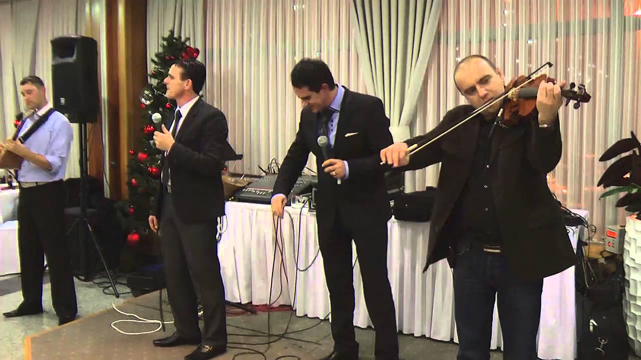 BRAĆA VIDOVIĆ   Piti volim  by STARI PLEHAN