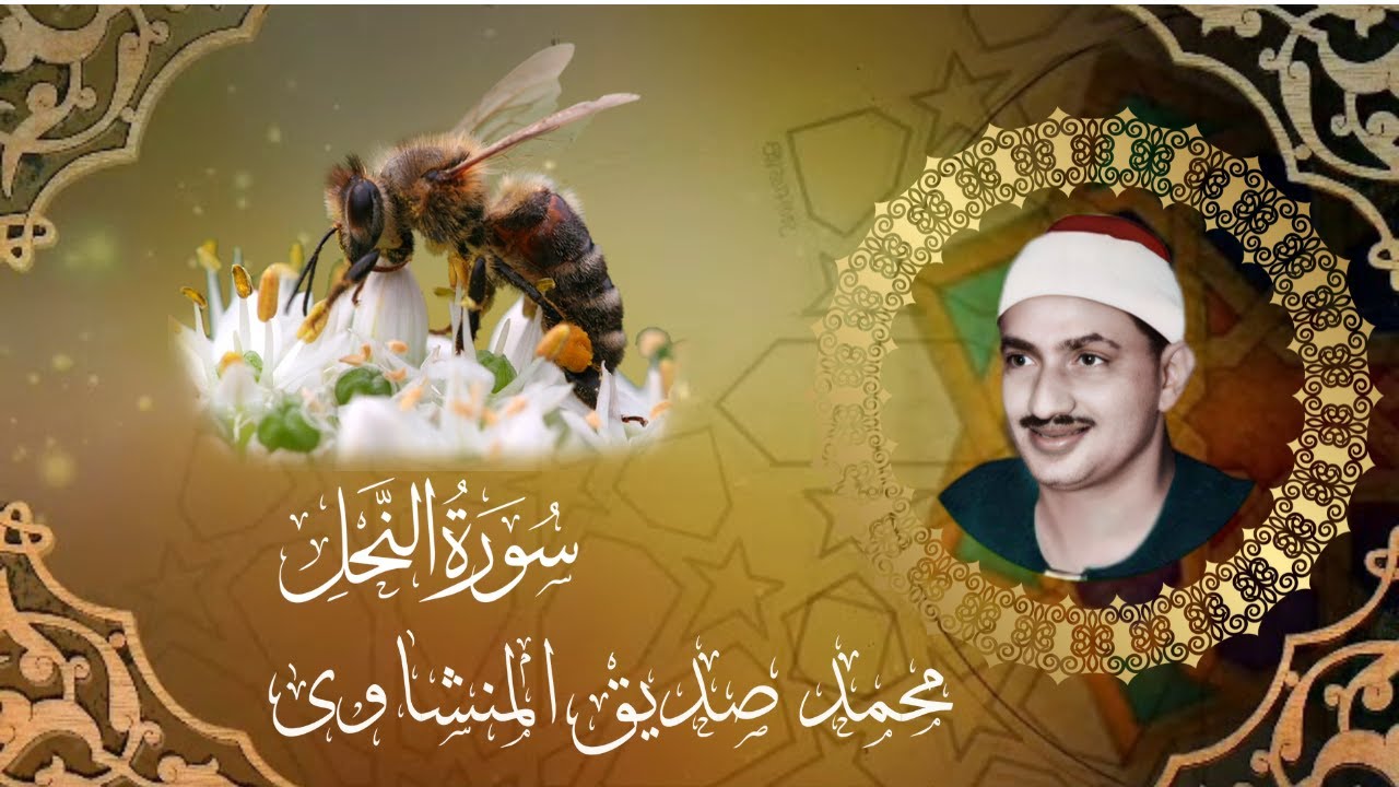 يعجز الوصف وتعجز الكلمات في وصف هذا الكروان الذي يحلق في الفضاء من روائع المنشاوي سورة النحل
