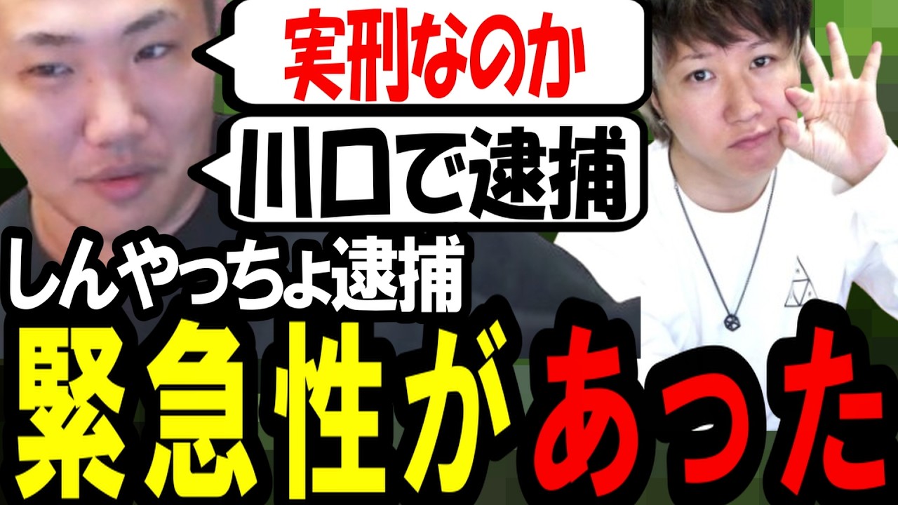 しんやっちょが逮捕されて禁固刑になるかもしれない件について