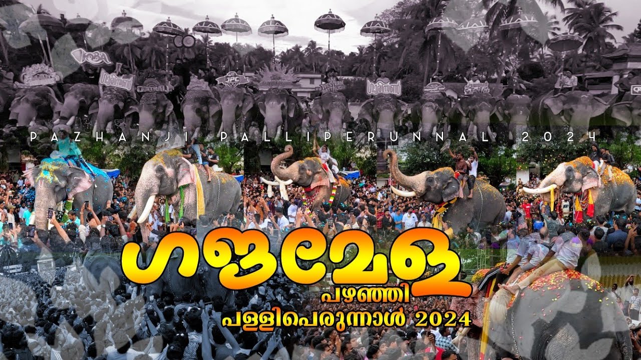പഴഞ്ഞി ഗജസംഗമം | പഴഞ്ഞി പള്ളിപെരുന്നാൾ | Pazhanji Palliperunnal 2024