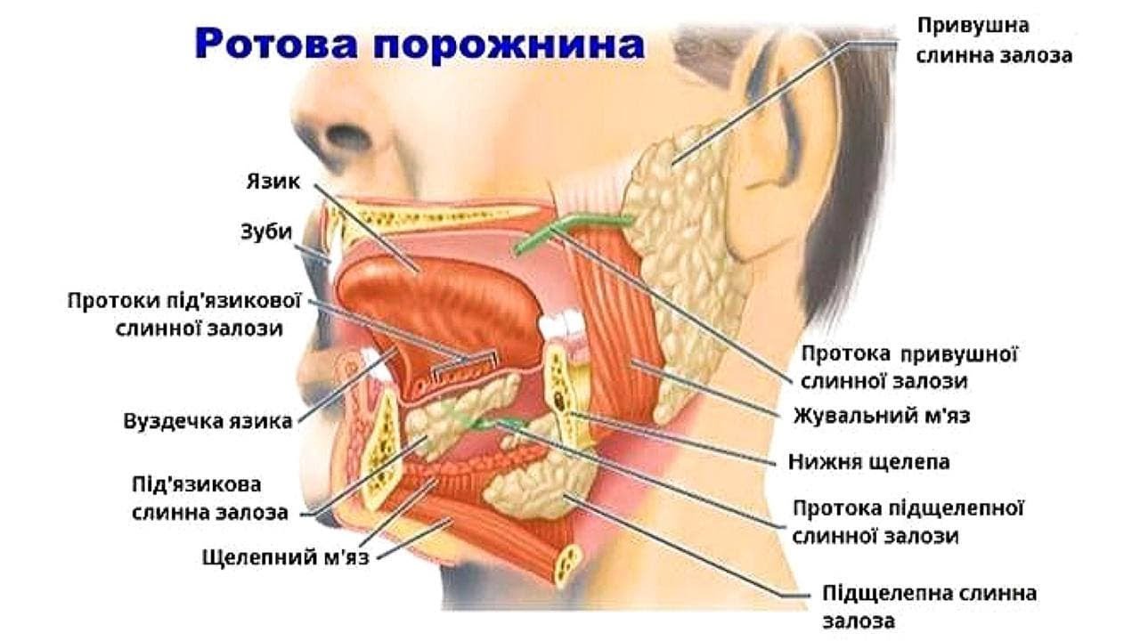 РОТОВА ПОРОЖНИНА