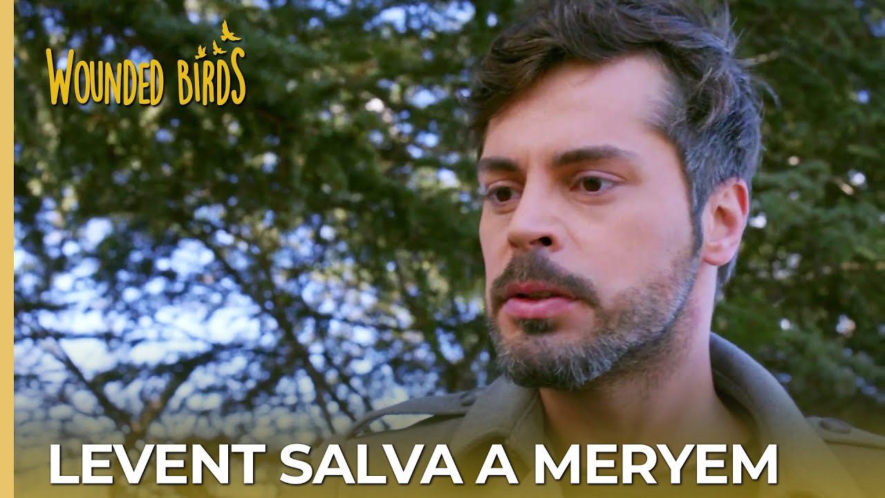 Levent salva a Meryem | Omer Sueños Robados Capítulo 192