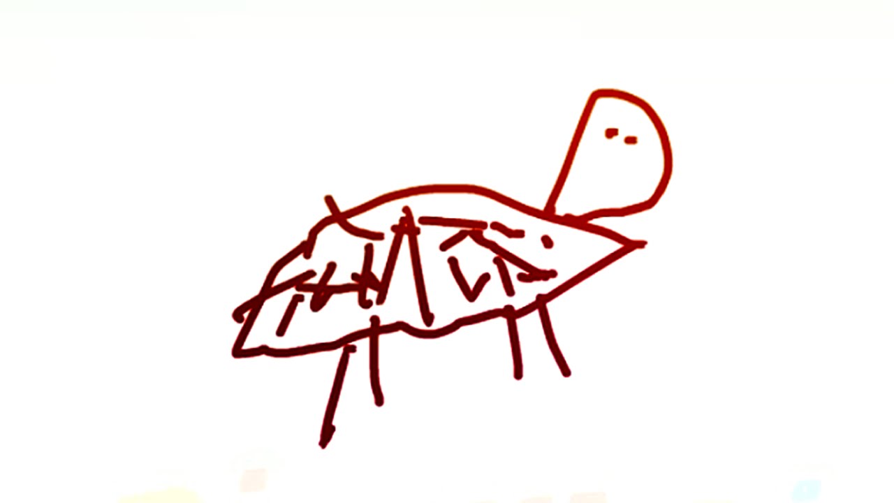 THAT'S A TURTLE!?!