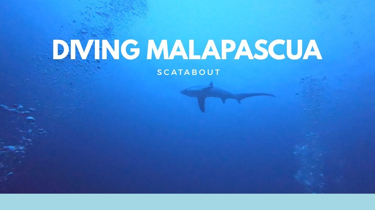 Scuba Diving Malapascua Cebu | Philippines Travel Vlog