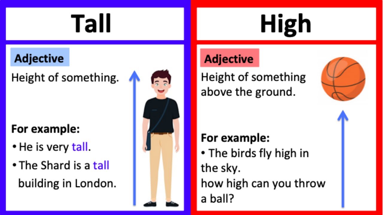 TALL vs HIGH 🤔 | What's the difference? | Learn with examples