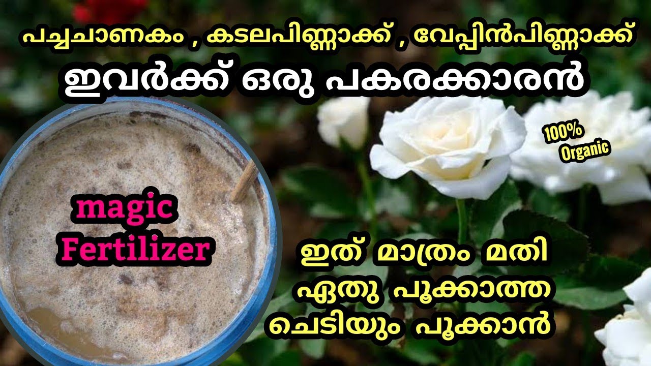 Best magic Fertilizer for flowering plants with 100% Result /അത്ഭുത ജൈവ വളം  വീട്ടിൽ ഉണ്ടാക്കാം