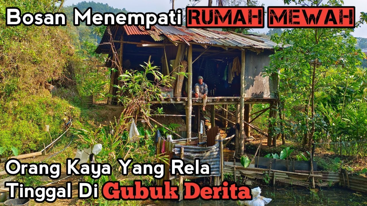 Orang Kaya Yang Tidak Mau Tinggal Di Rumah Mewah Dan Lebih Memilih Menempati Rumah Gubuk Di Hutan