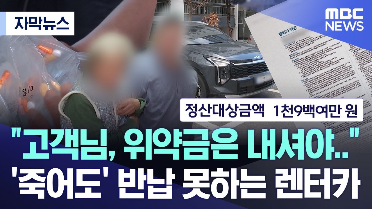 [자막뉴스] 