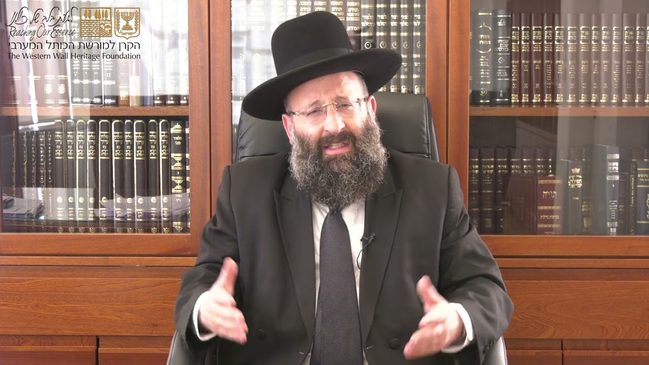 פרשת לך לך