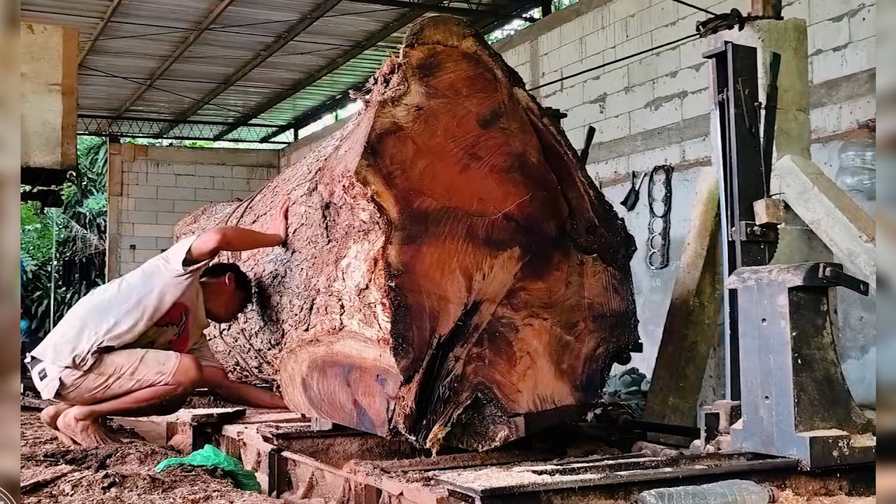 The Art of Sawing Massive Logs - Amazing Transformation
