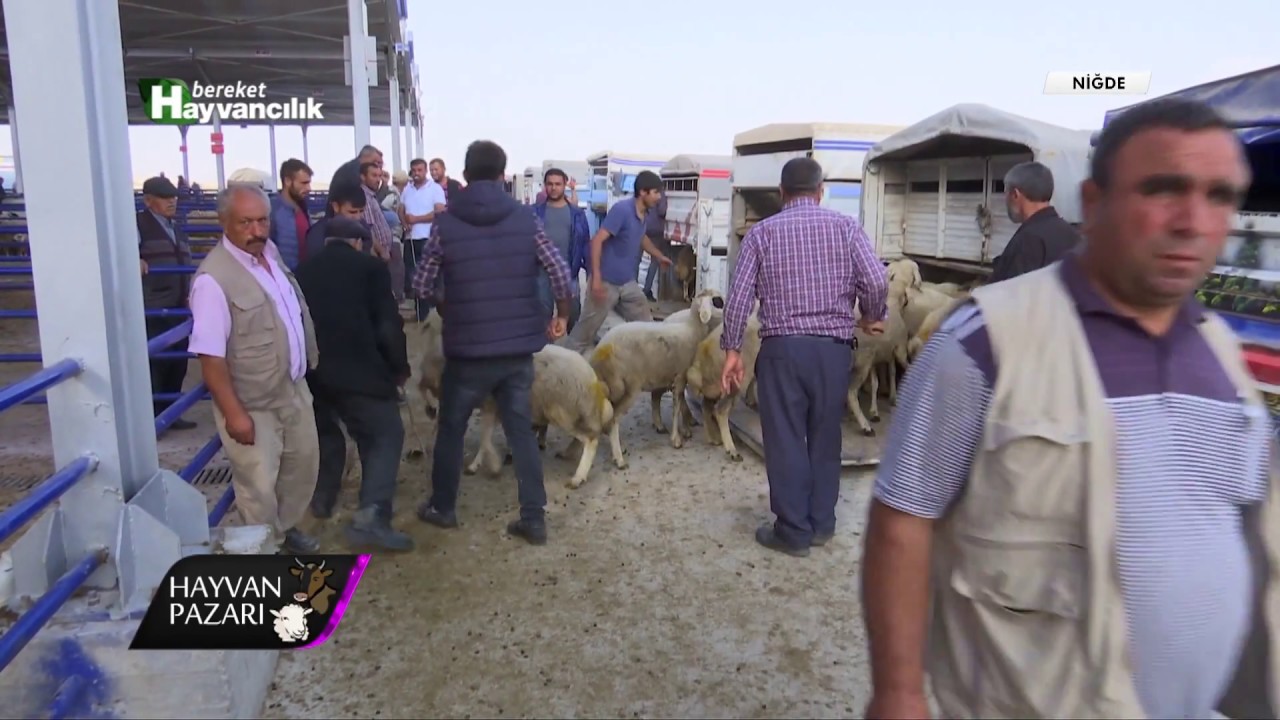 Hayvan Pazarı - Niğde