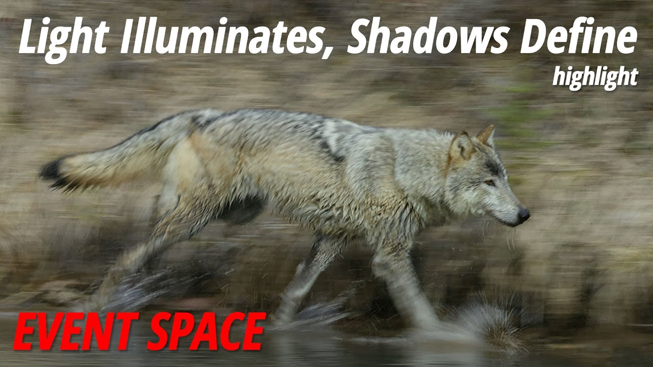 Light Illuminates, Shadows Define: Highlight