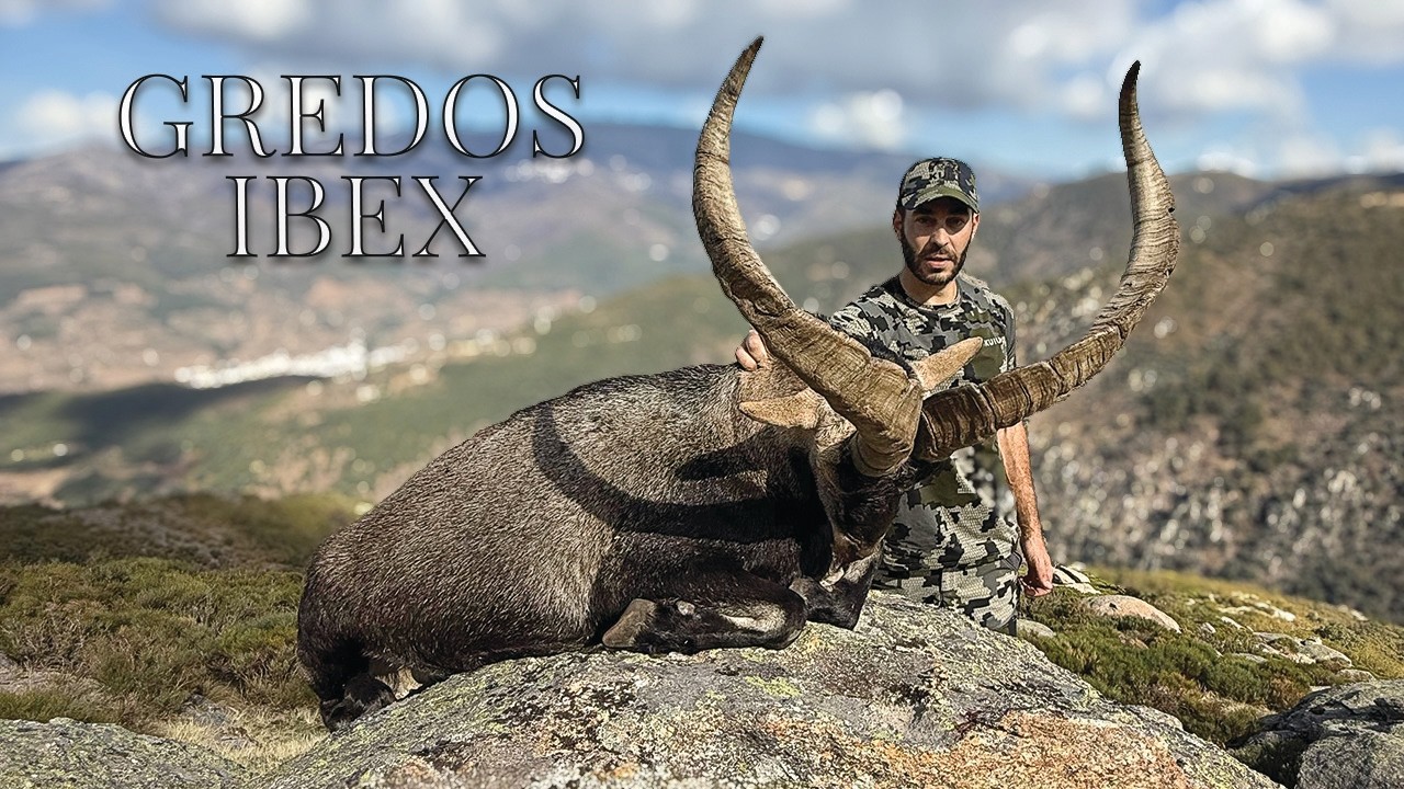 Охота на горного козла Гредос | Alpine Precision в Сьерра-де-Гредос