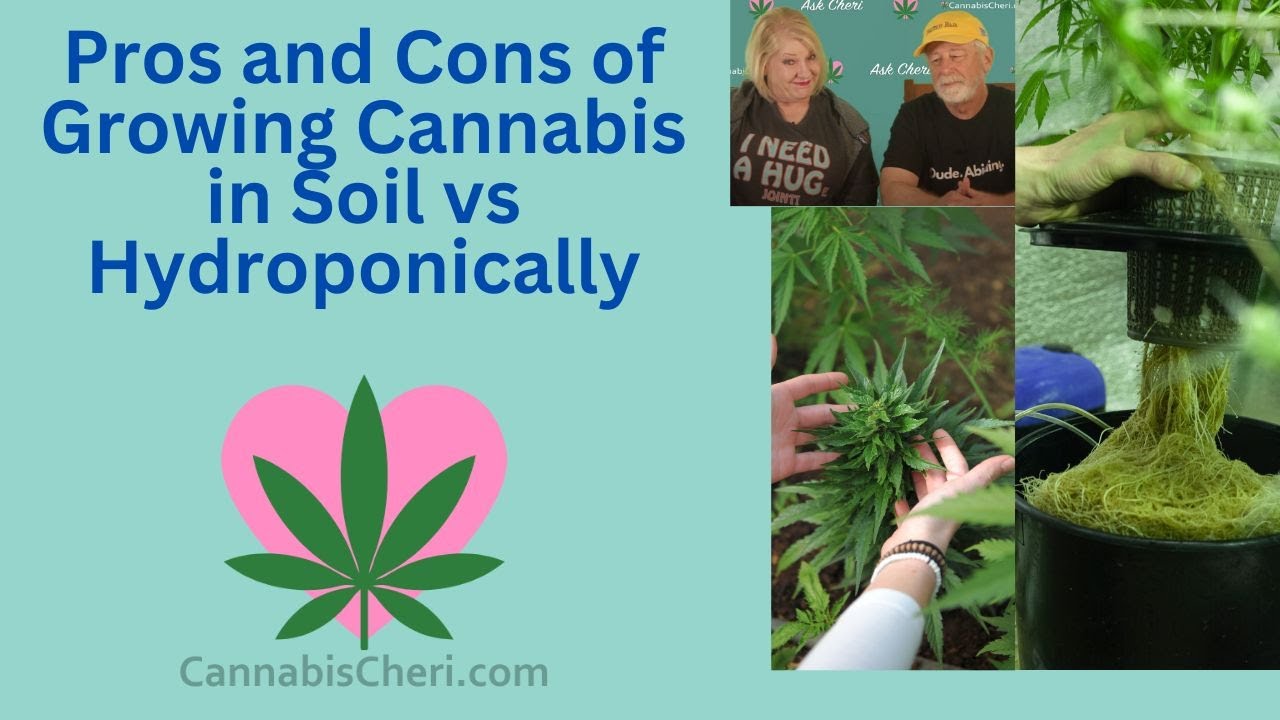 Pros and Cons of Growing Cannabis in Soil vs. Hydroponically