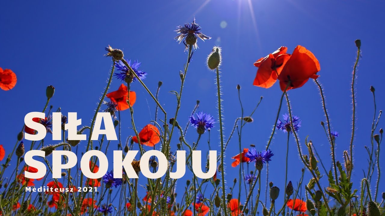 Siła Spokoju / hipnoza / autohipnoza / binaural beats