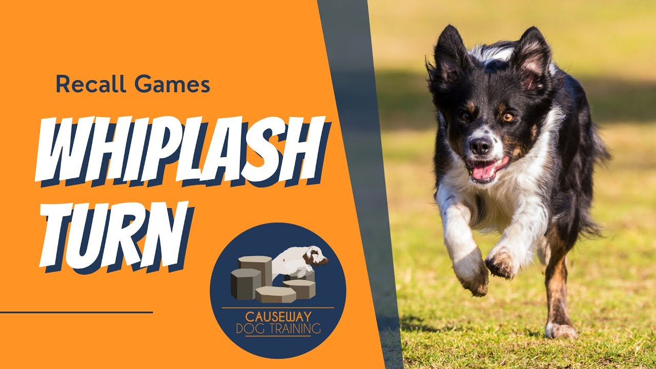 Recall Game- The Whiplash Turn