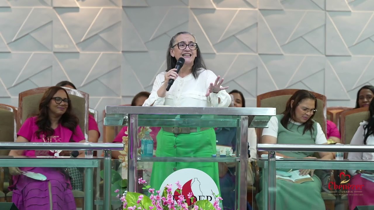 O MILAGRE QUE NINGUÉM ESPERAVA - Aparecida Borges