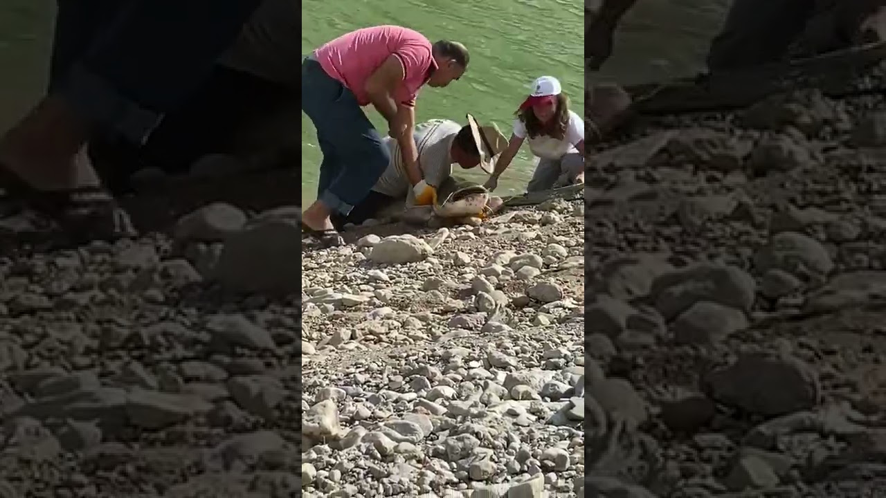 Hikmet Hoca balıkta