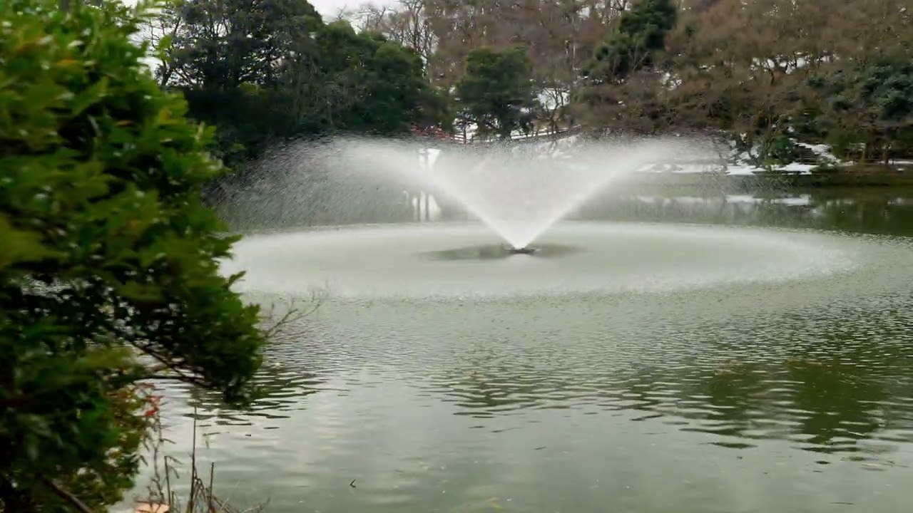 静けさに梅ほころぶ｜早春の高岡古城公園