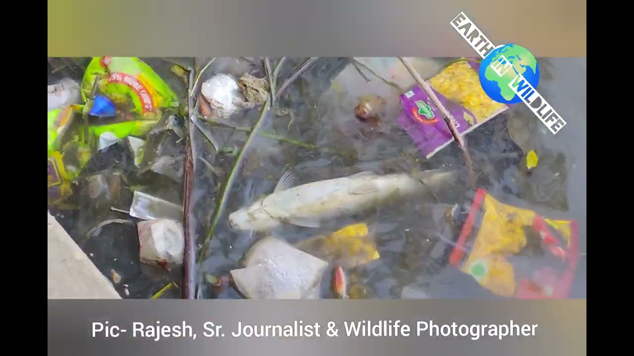 photography in nature conservation