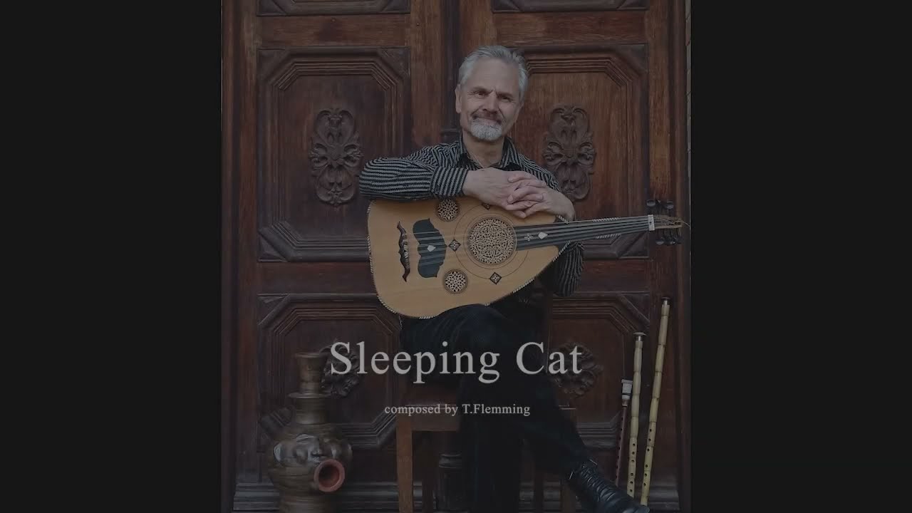 Sleeping Cat